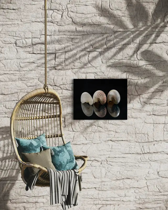 Three nautilus shells with spiral patterns on black reflective background, Echoes of the Sea glass art displayed in sun room