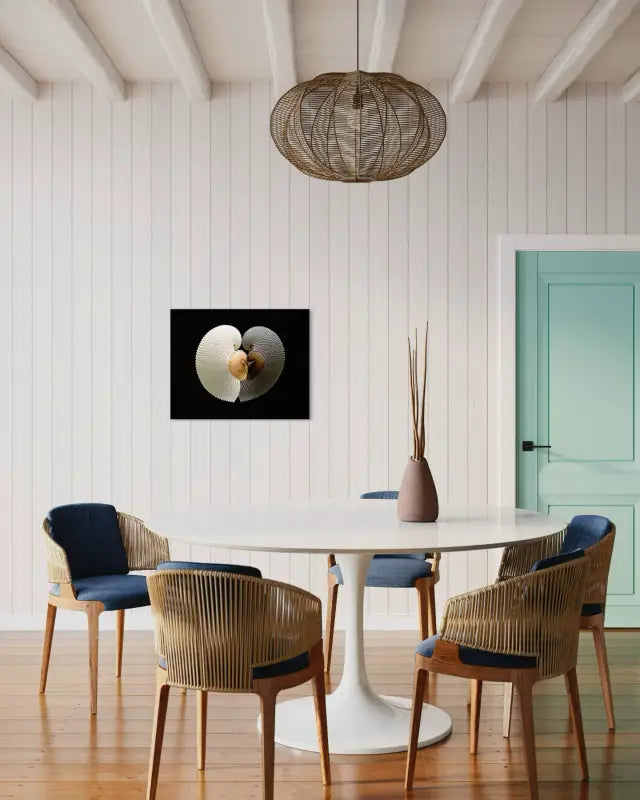 White and brown paper nautiluses forming a heart reflection on black glass, coastal seashell glass print- wall decor