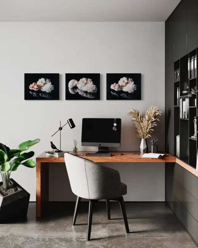 Glass print of white coral and sea urchins on black background_office wall with 2 other prints