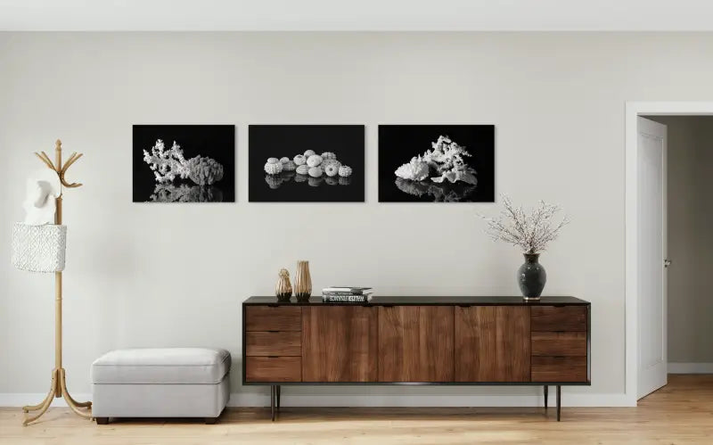 Black & White Glass print of octopus coral and sea sponge displayed with 2 other Echoes prints.