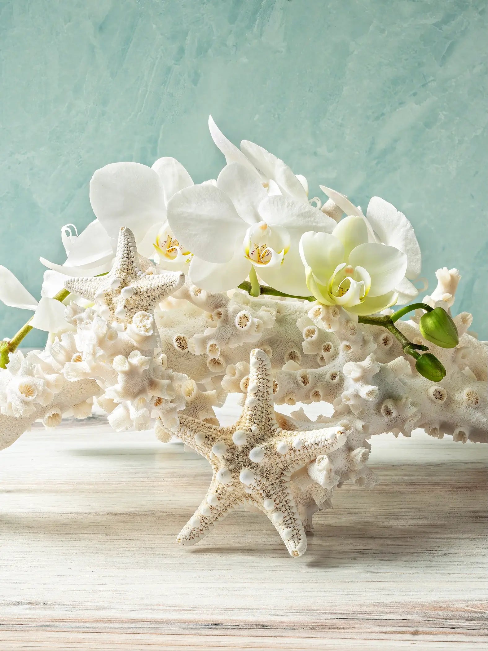 Starfish and orchid composition on pale seafoam green background, tranquil coastal glass print