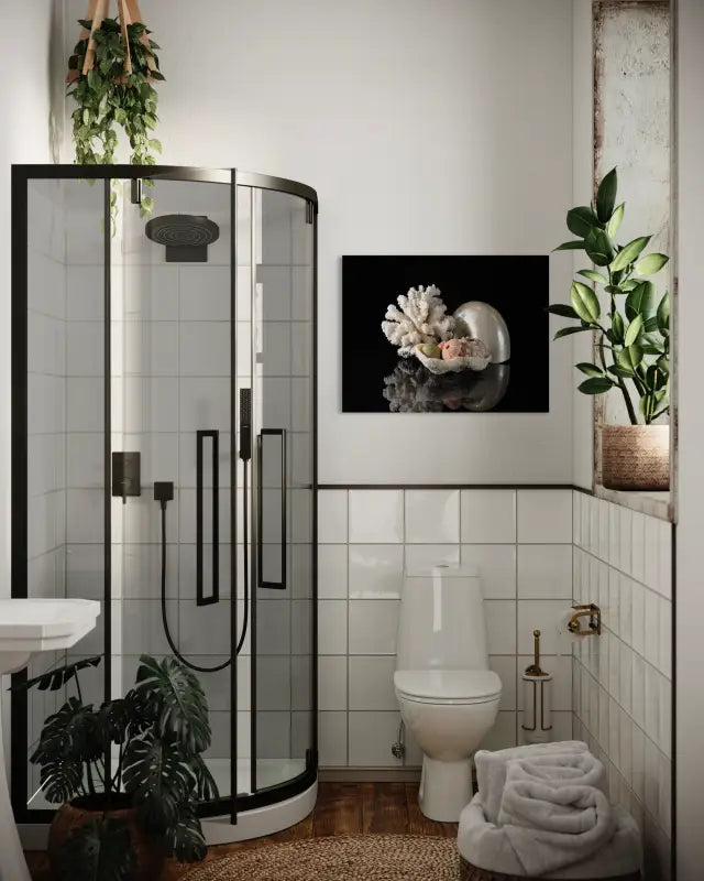 Pearl nautilus, coral, and urchins on black glass, Echoes coastal glass prints-bathroom