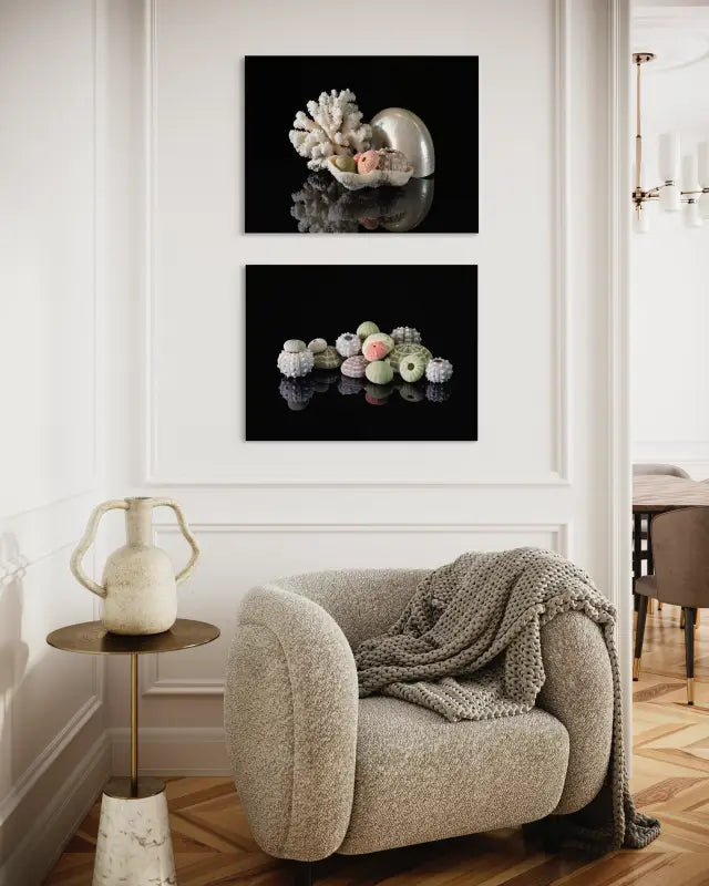 Pearl nautilus, coral, and urchins on black glass, Echoes coastal glass prints-with matching print