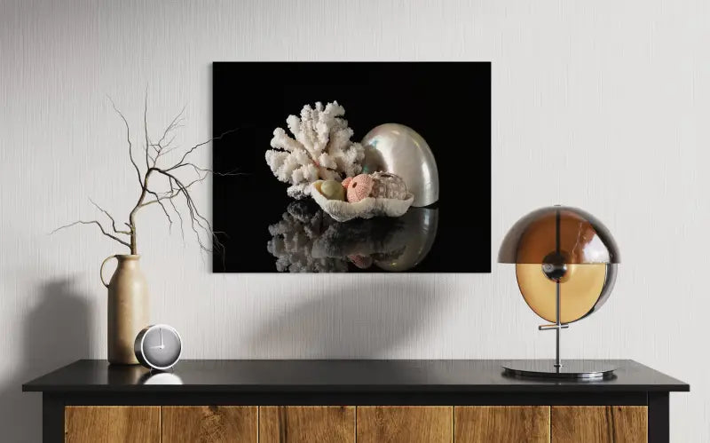Pearl nautilus, coral, and urchins on black glass, Echoes coastal glass prints-wall decor