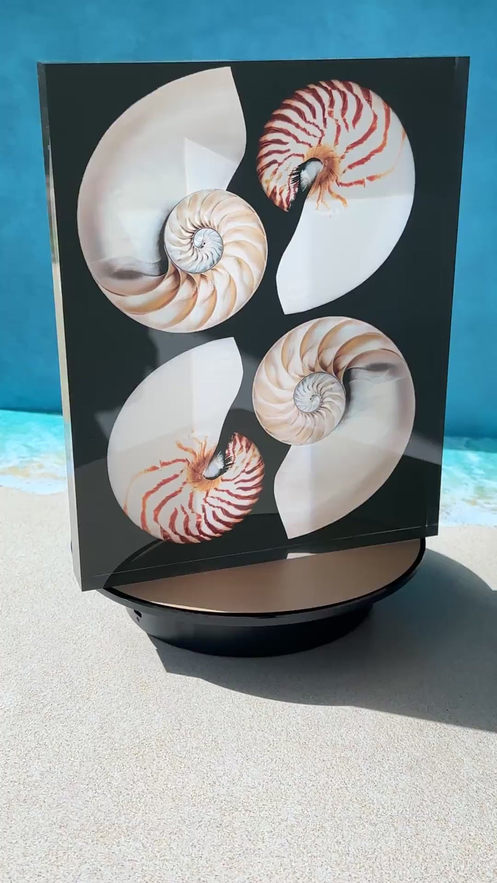 Nautilus Spiral coastal acrylic block print in video.