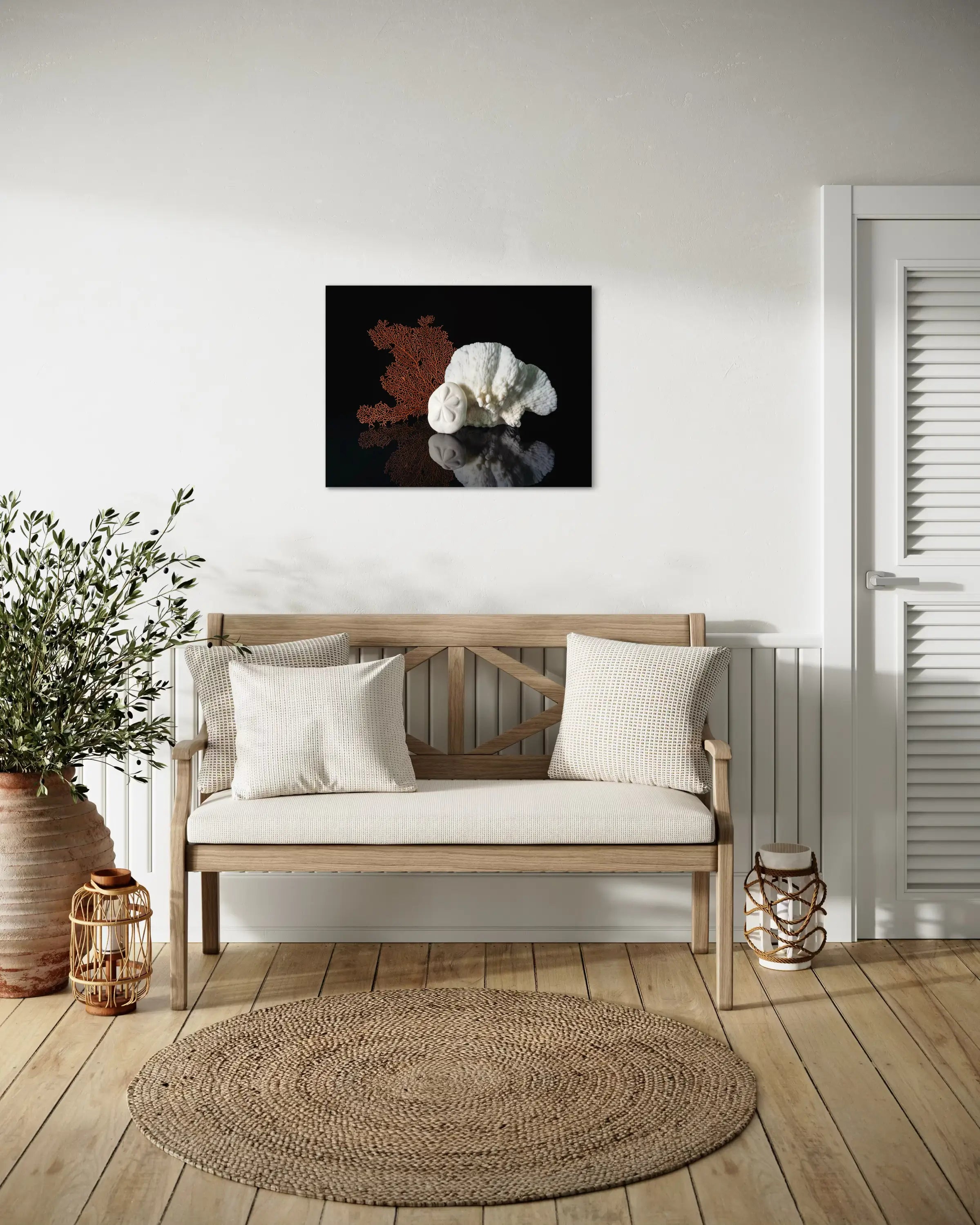 Sand dollar, cactus coral, sea fan on black coastal glass print, coastal decor