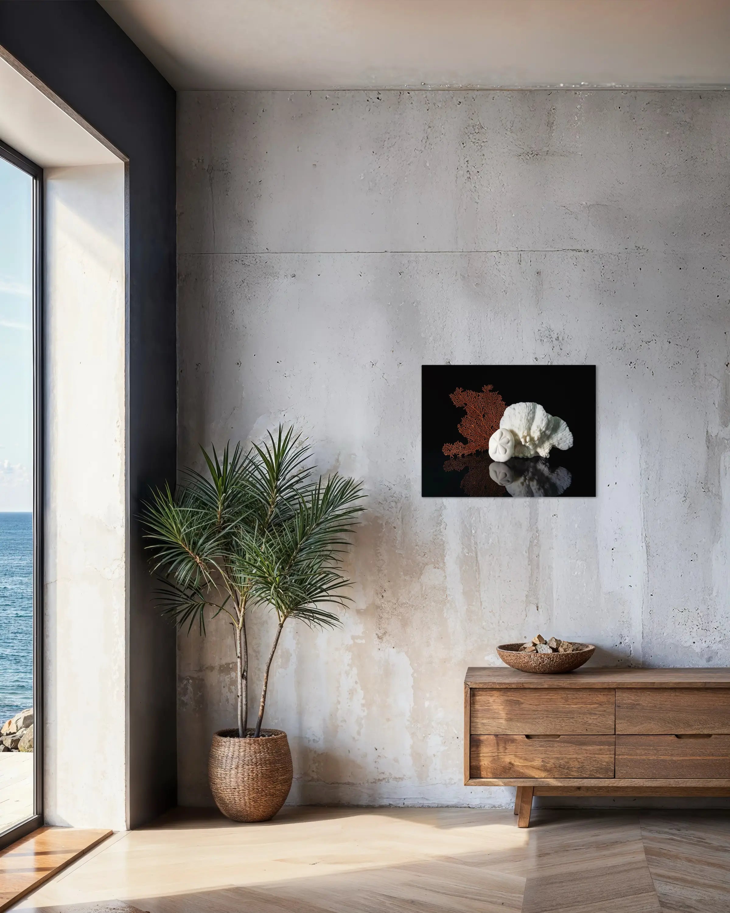 Sand dollar, cactus coral, sea fan on black coastal glass print, modern coastal wall art 