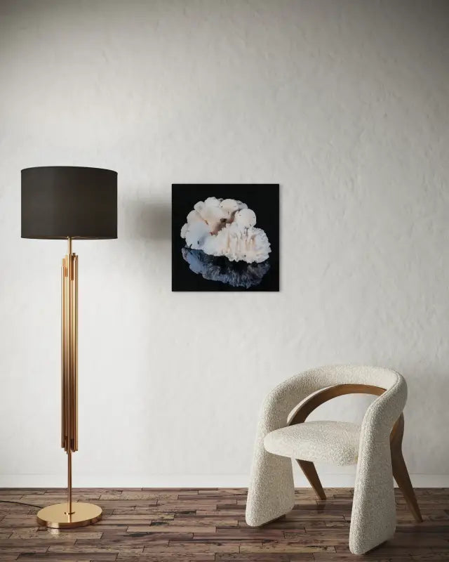 Sand Dollars and Coral on black glass, coastal wall art -sitting area