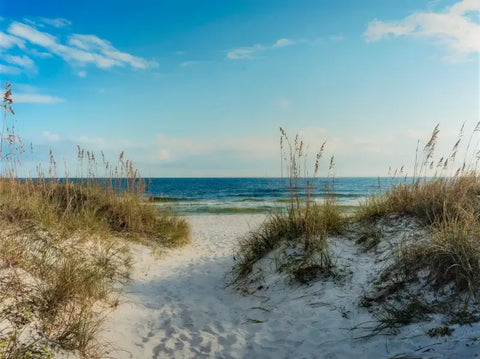 Sandy pathway through beach dunes leading to ocean for beach meditation.