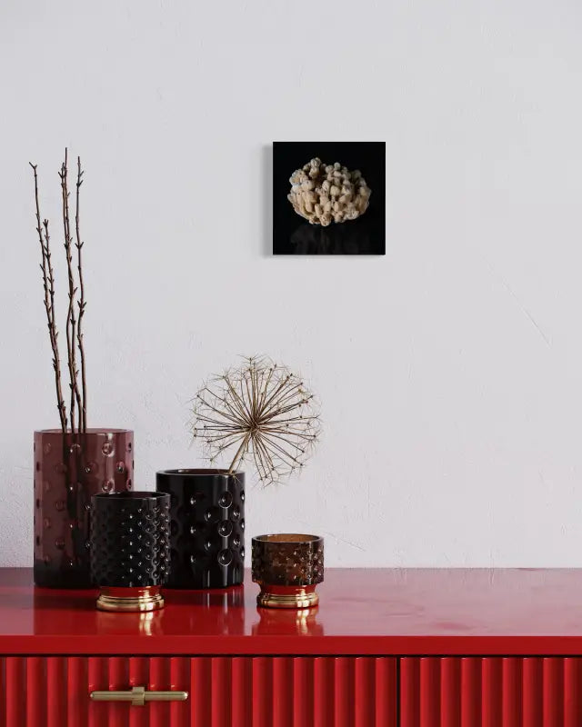 Sea sponge on black reflective glass, Echoes mini coastal glass print-wall decor