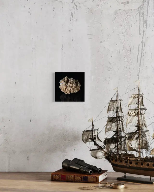 Sea sponge on black reflective glass, Echoes mini coastal glass print- displayed with nautical items.