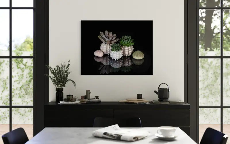 Succulents and urchins on black reflective glass, Echoes oceanic art, coastal glass print for modern decor.