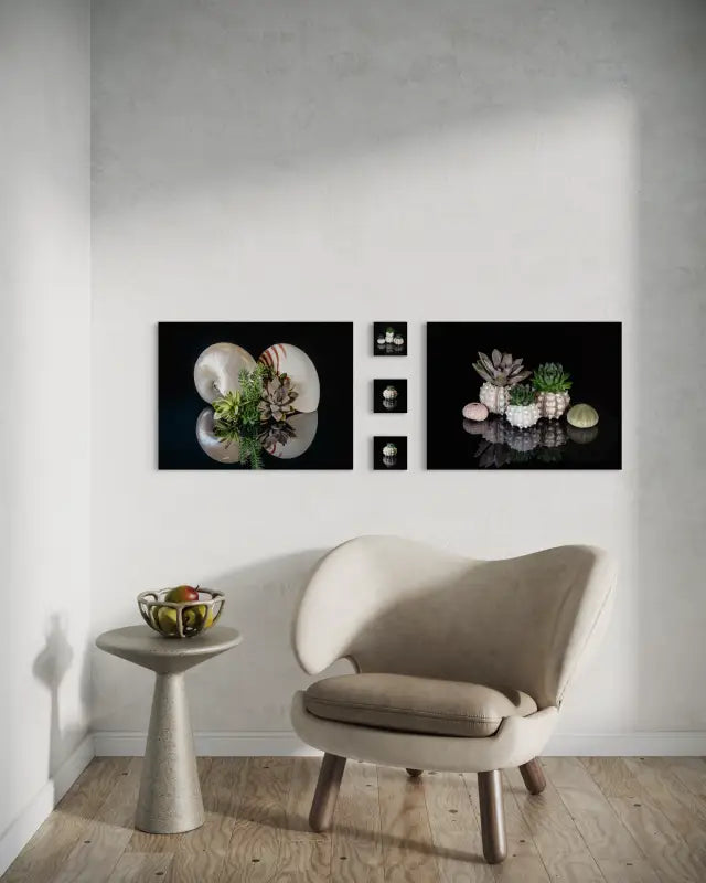 Succulents and urchins on black reflective glass, Echoes oceanic art, coastal glass print wall gallery.