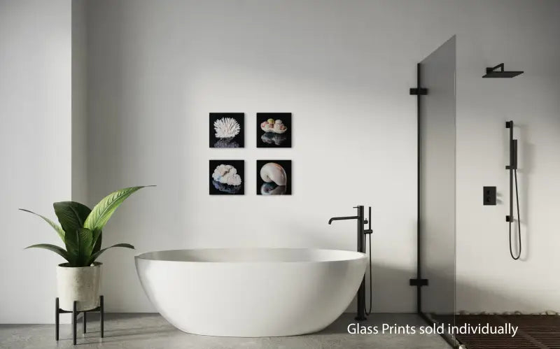 Sea urchins in coral bowl coastal seashell glass print, Echoes of the Sea_displayed 3 other prints