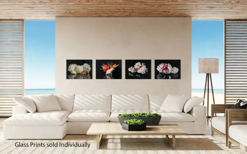Seashell Serenity Glass Art - Coastal Prints