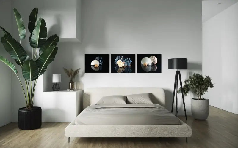 Nautilus and blue coral on reflective black background coastal glass art print