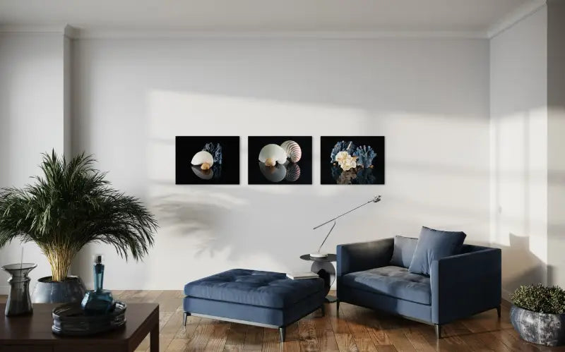 Nautilus and blue coral on reflective black background coastal glass art print