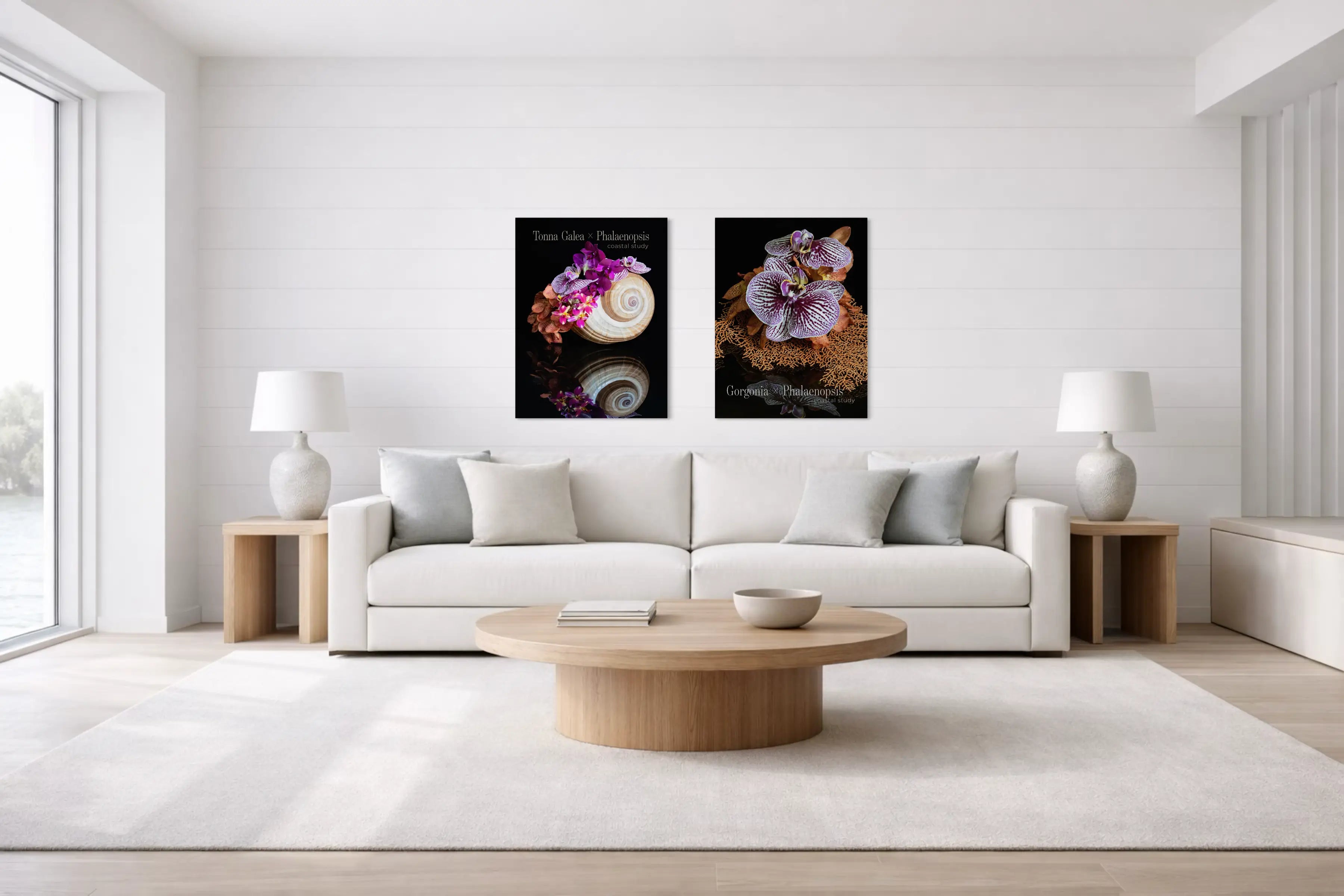 Tonna Shell — Purple Orchid Cluster