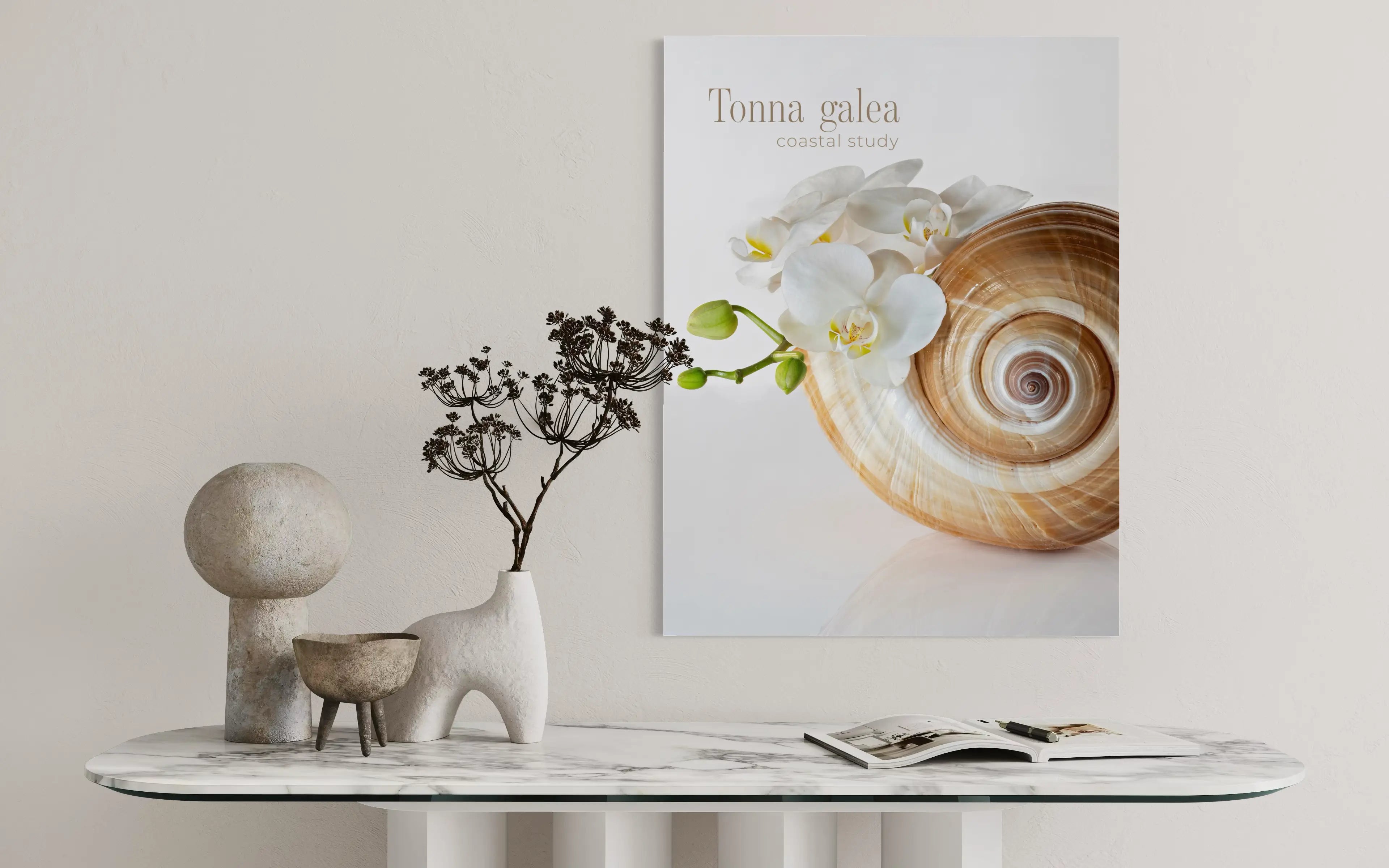 Tonna shell wall art with white orchid on glass displayed above a modern console table in a neutral coastal interior.