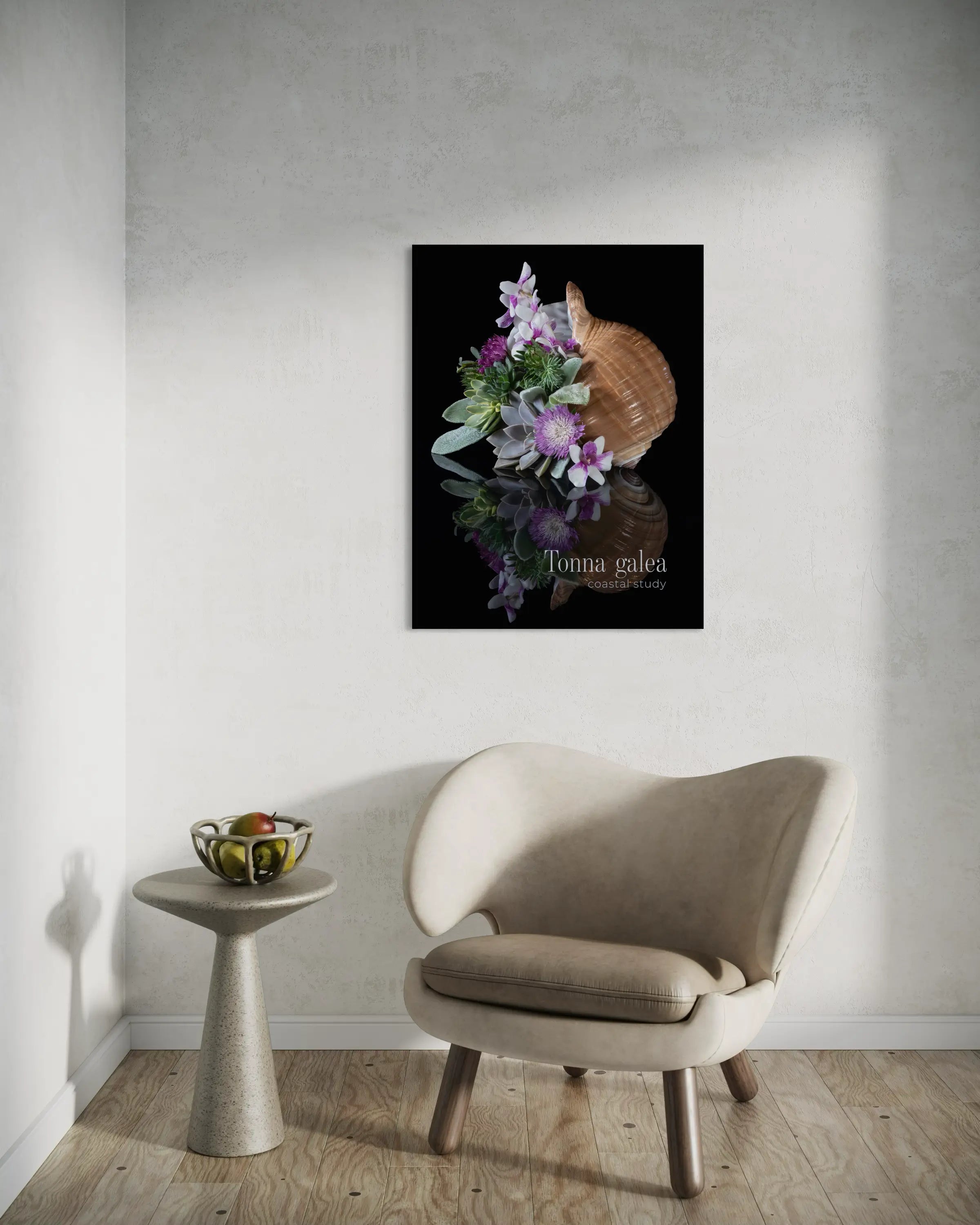 Tonna shell wall art with succulent arrangement displayed above a modern chair in a neutral coastal interior.