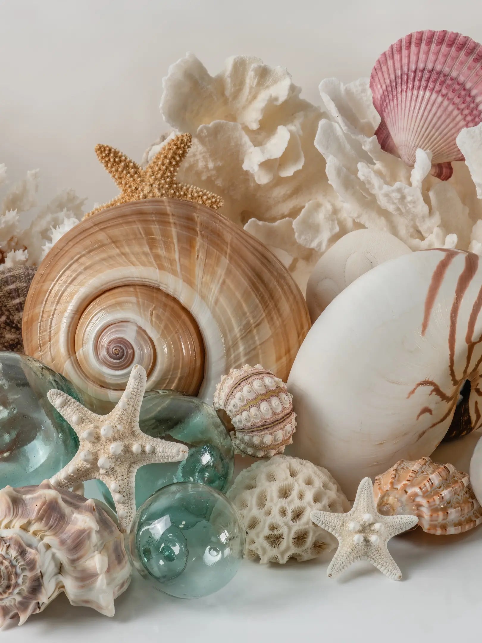 Middle panel of a coastal seashell triptych featuring large spiral shells, white coral, starfish, sea urchins, scallop shells, and aqua Japanese glass floats.