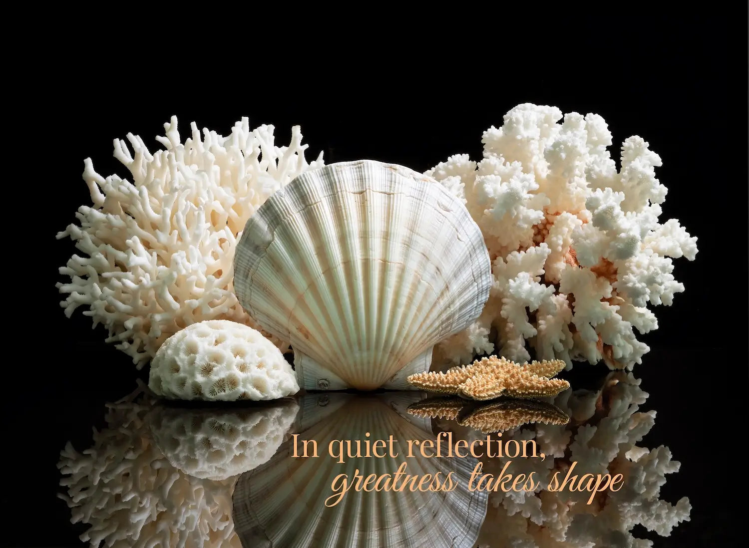 Inspirational coastal glass wall art featuring white seashells, coral, and starfish reflected on black background – elegant moody coastal décor print.