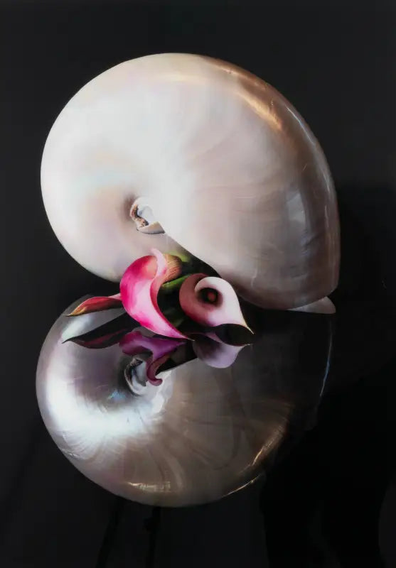 Serene Nautilus and Blooming Pink Lilies Glass Artwork - Large 15.6 x 20.8 - Coastal Prints