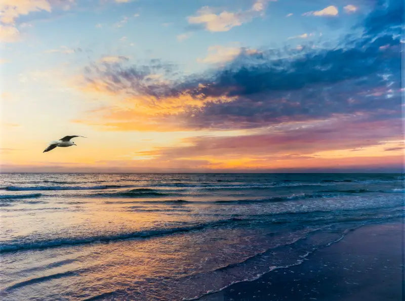 Serene Siesta Beach Sunset Glass Artwork - Small 4.8’’ x 6.4’’ - Scene Printed