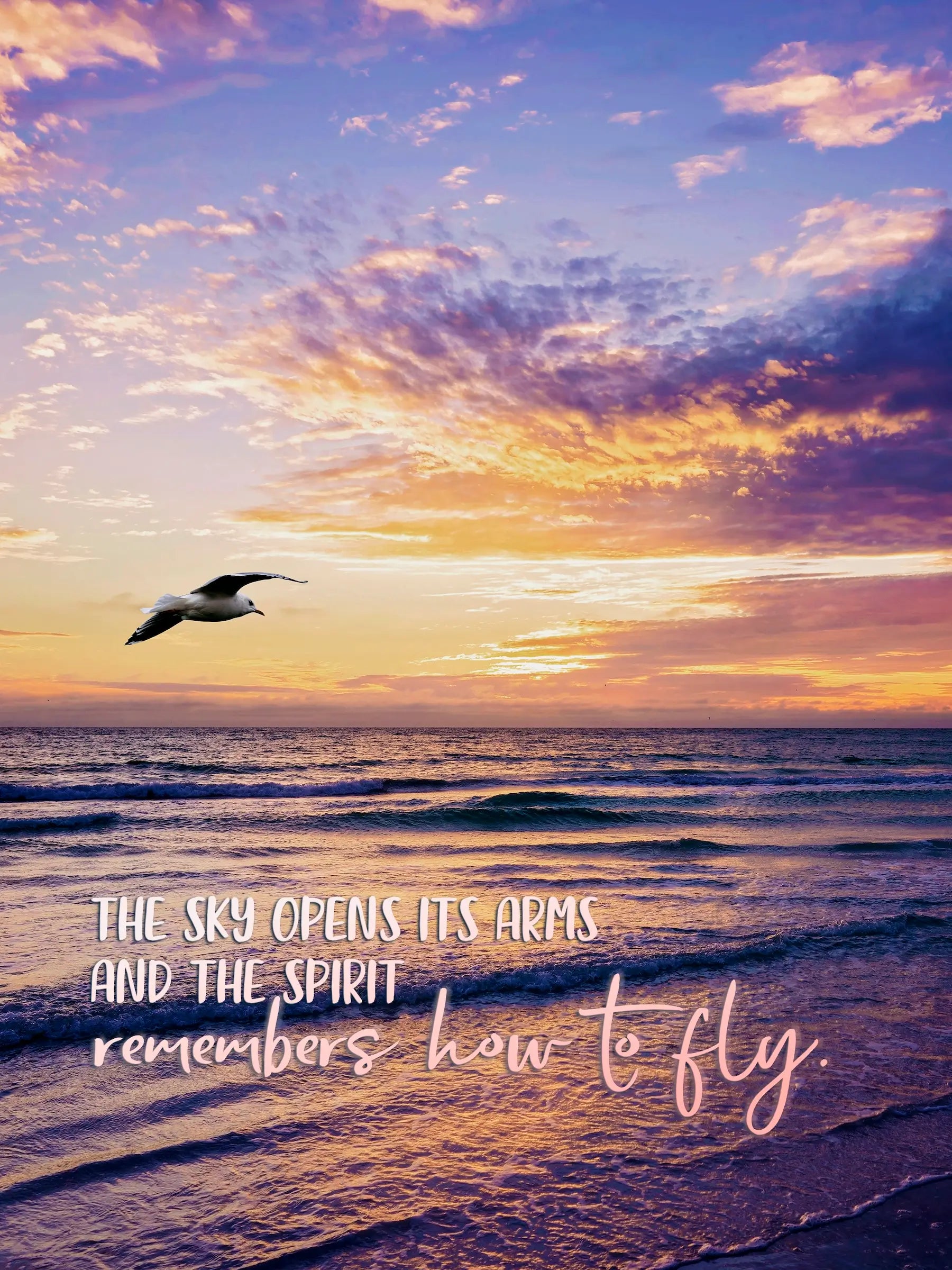 Glass print of a Siesta Key beach sunset a solitary seagull flies over the waves with the quote "The sky opens it's arms and the spirit remembers how to fly"