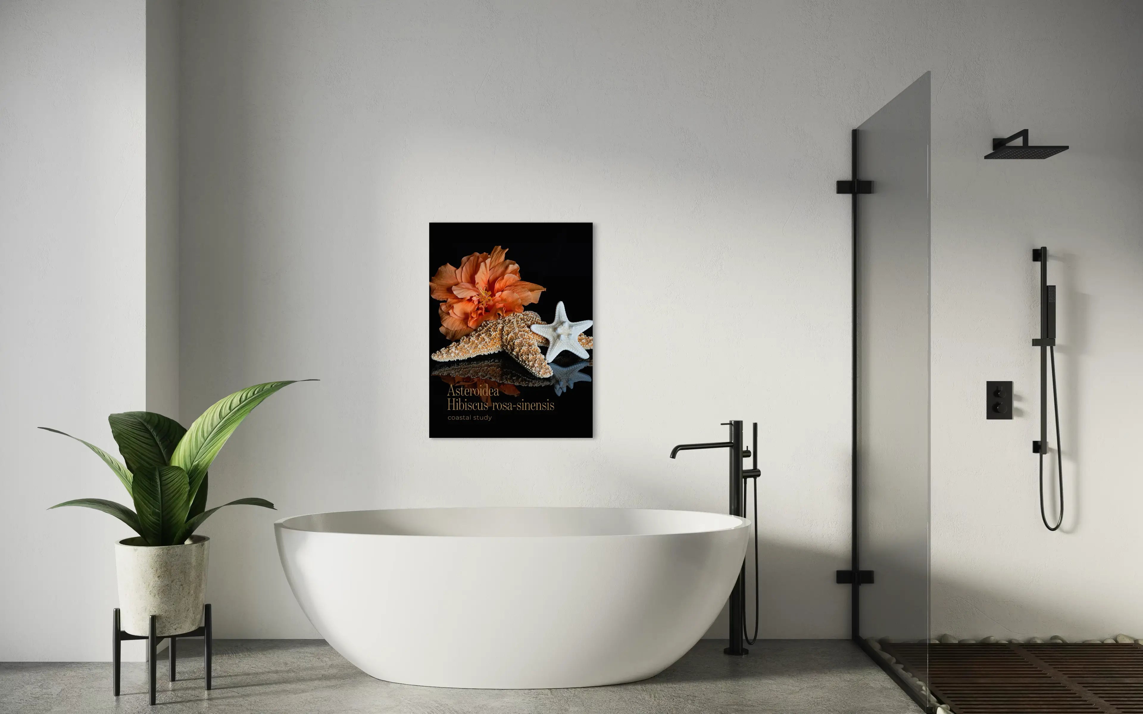 Starfish hibiscus coastal wall art on glass displayed above a modern freestanding bathtub