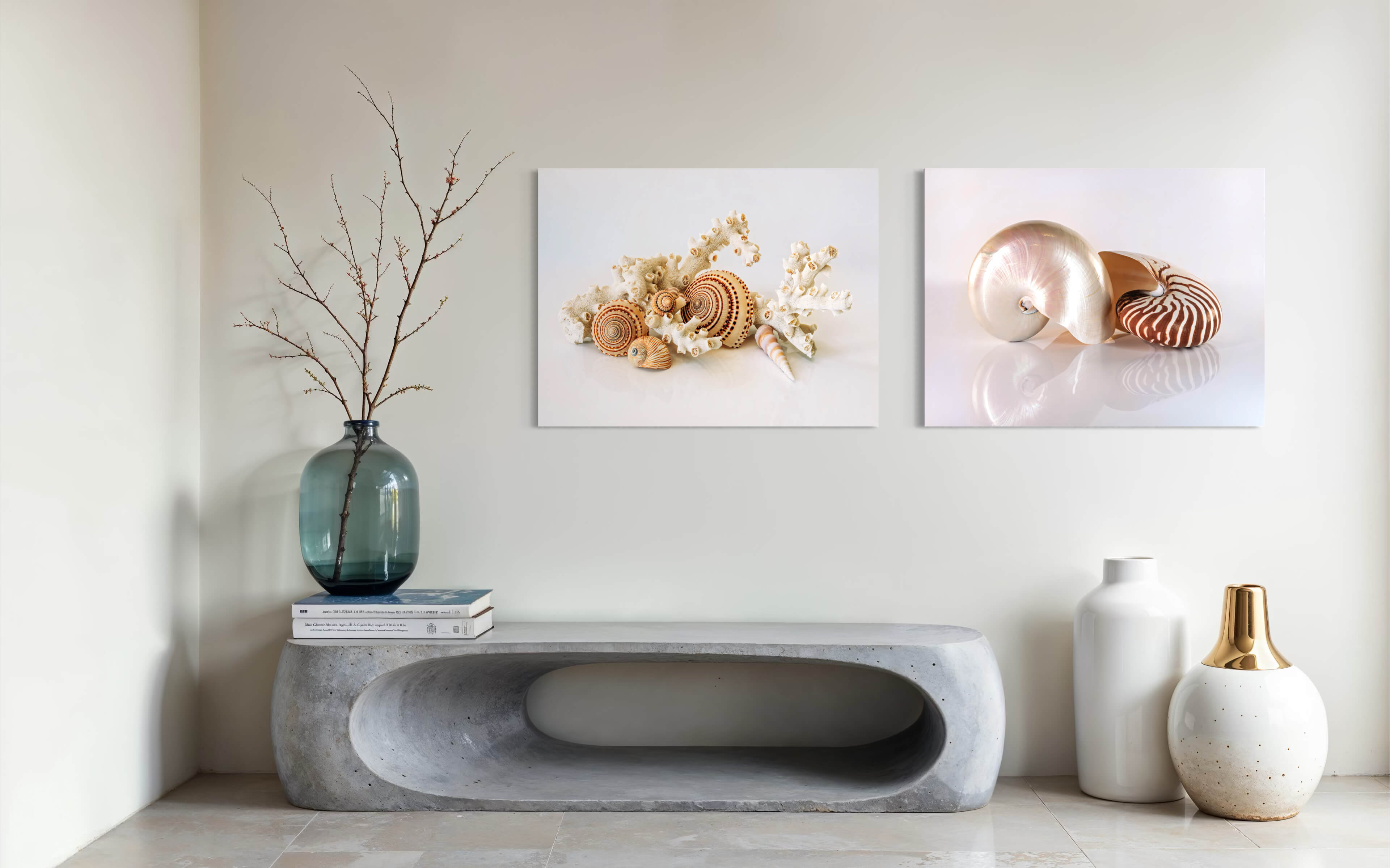 Sundial Shells & Octopus Coral Glass Print - modern coastal wall decor