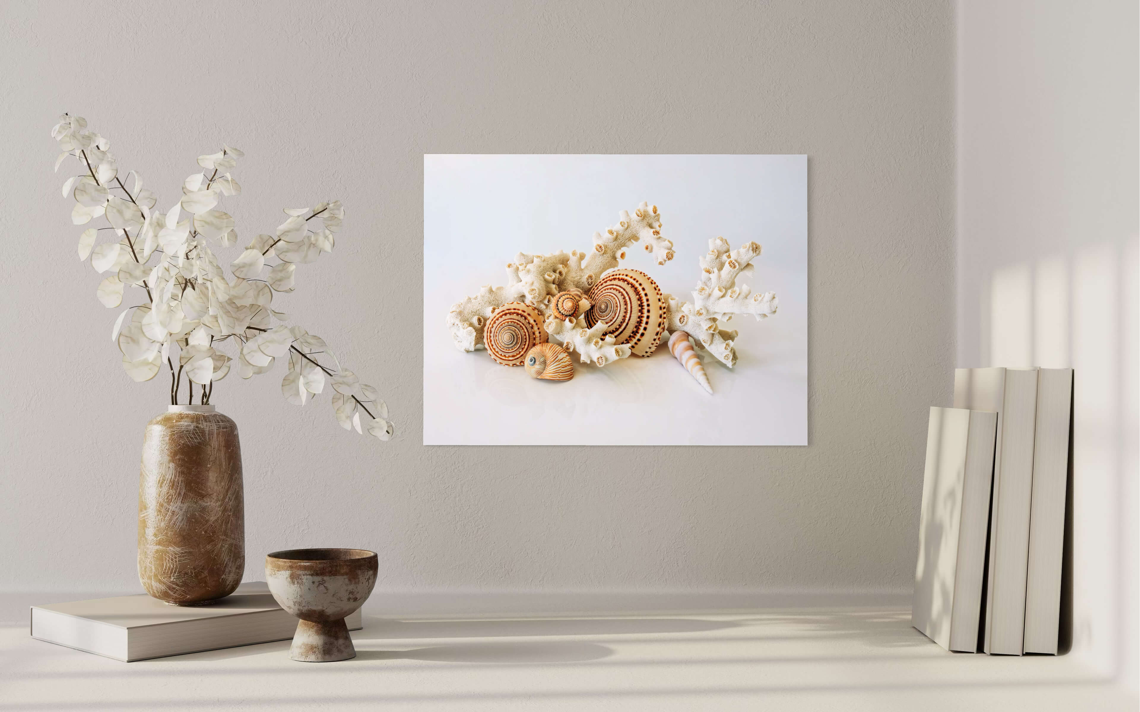 Sundial Shells & Octopus Coral Glass Print - Ocean Decor -niche wall decor