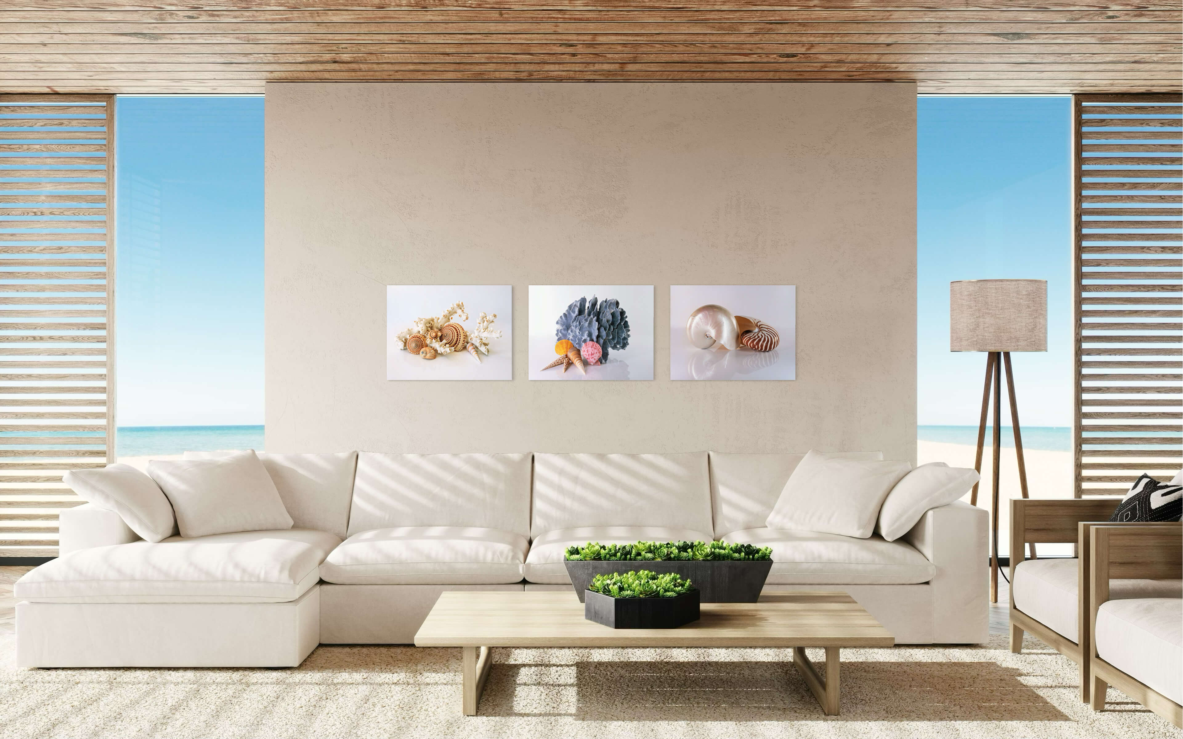 Sundial Shells & Octopus Coral Glass Print -coastal  living room wall decor