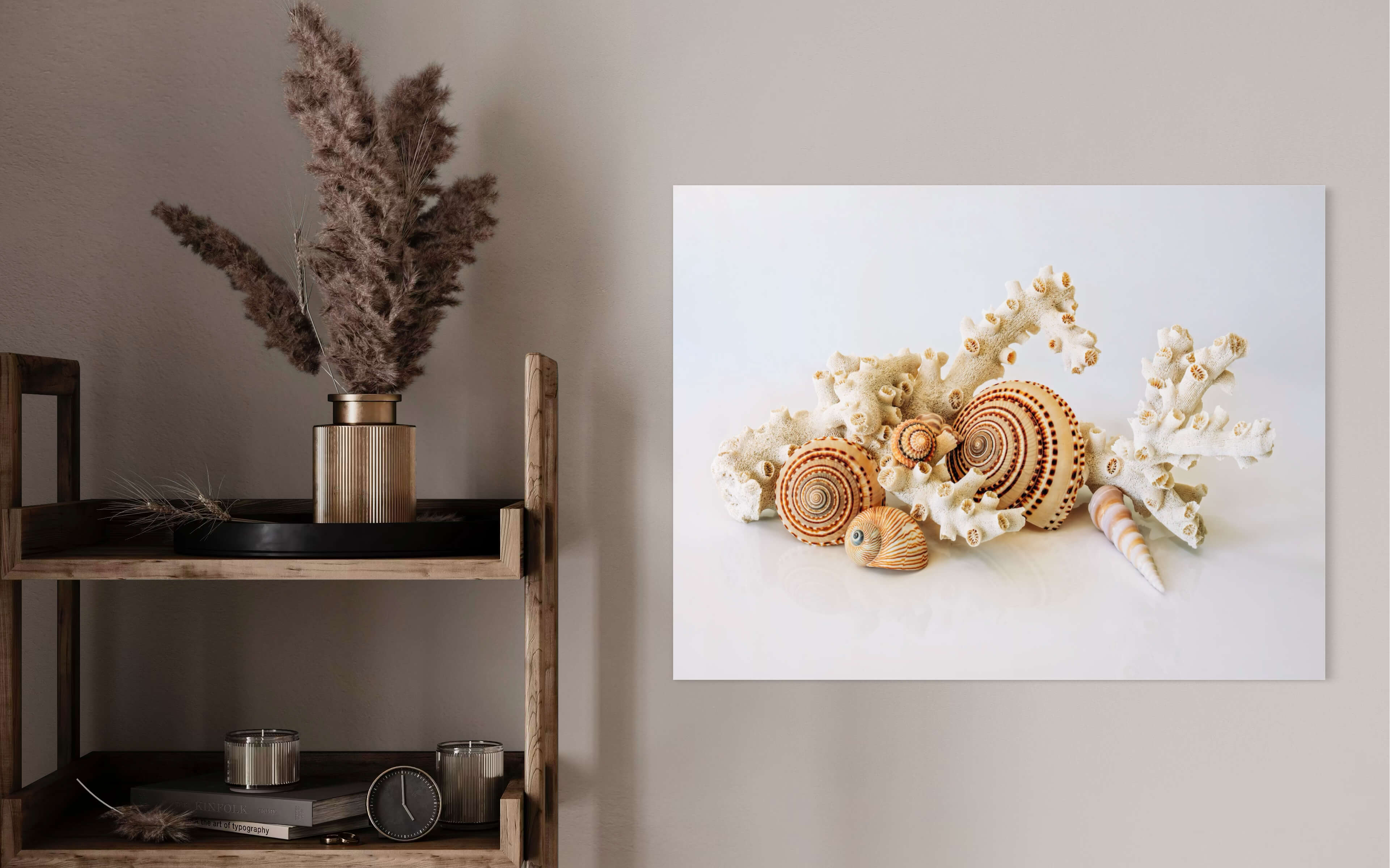 Sundial Shells & Octopus Coral Glass Print - office wall decor