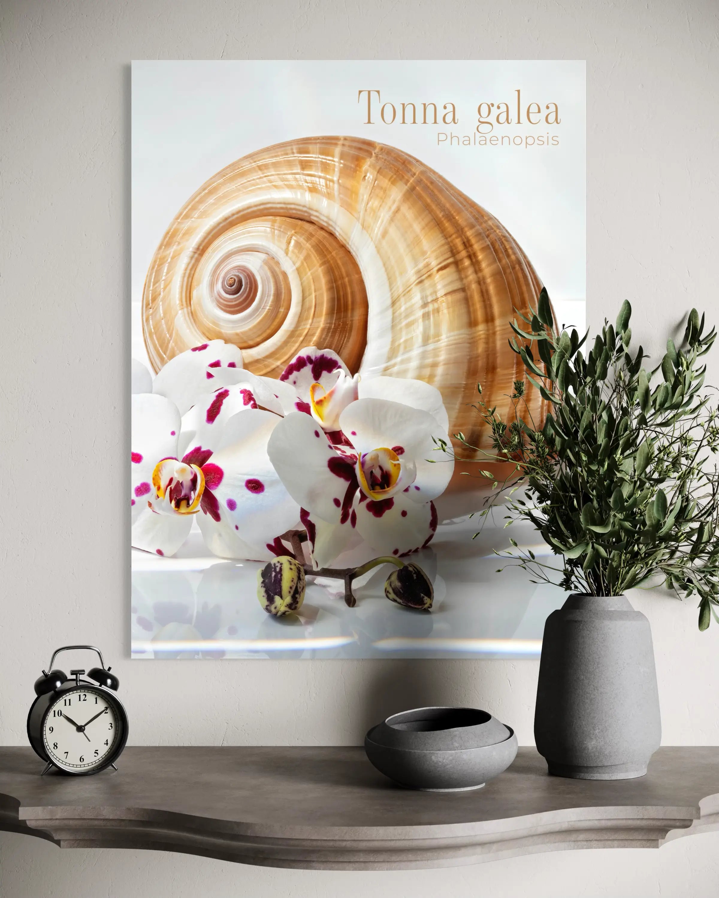 Tonna shell and spotted orchid glass wall art displayed above a console with decor accents in a modern entryway