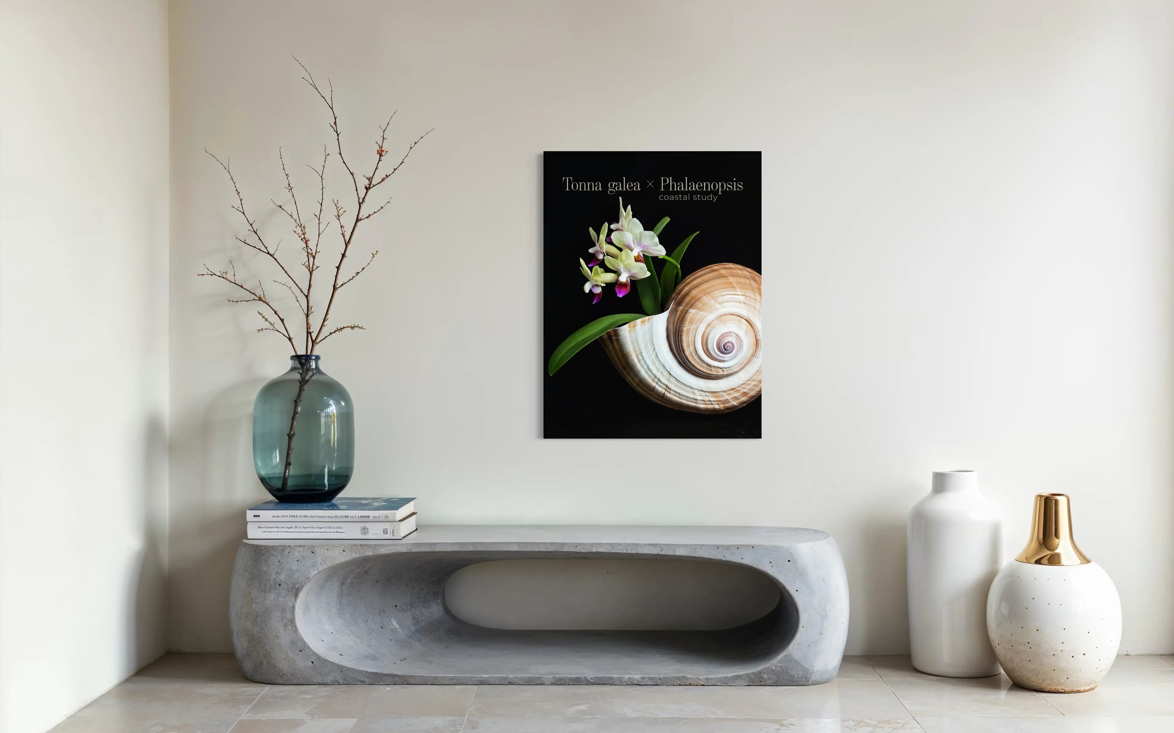 Tonna shell and orchid glass wall art above a modern console table with sculptural decor