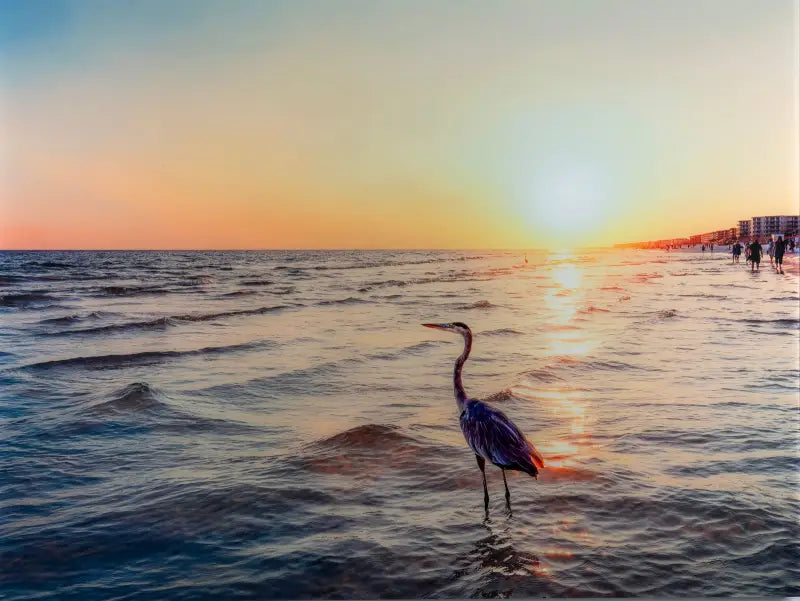 Tranquil Heron Sunset Glass Print - Large 15.6 x 20.8 - Beach Scene Printed