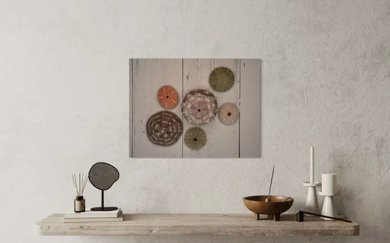 Coastal decor print glass art with vibrant sea urchins on white shiplap background_above floating shelf