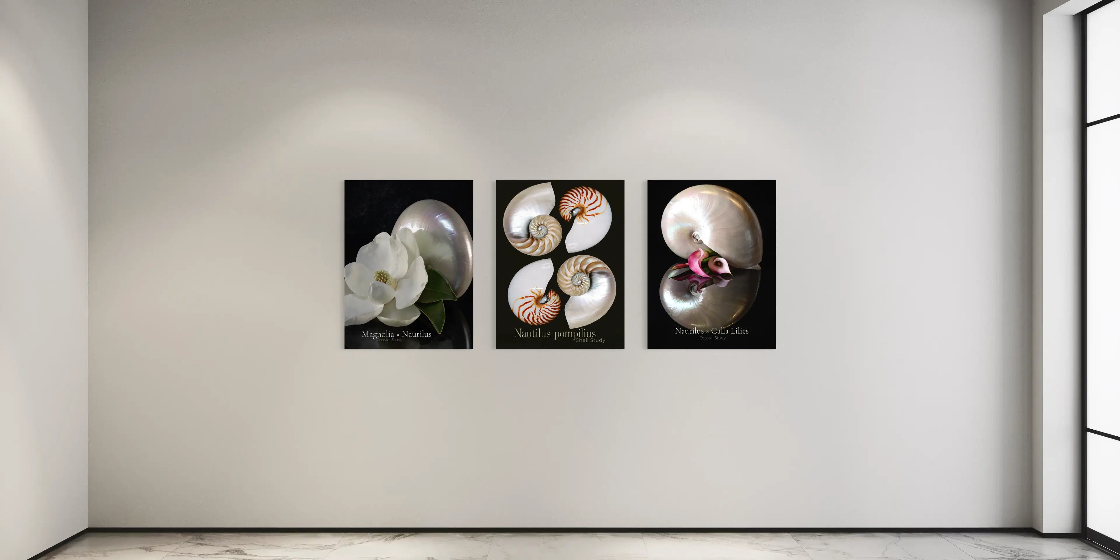 Coastal wall art featuring three nautilus shell and botanical prints displayed in a modern interior