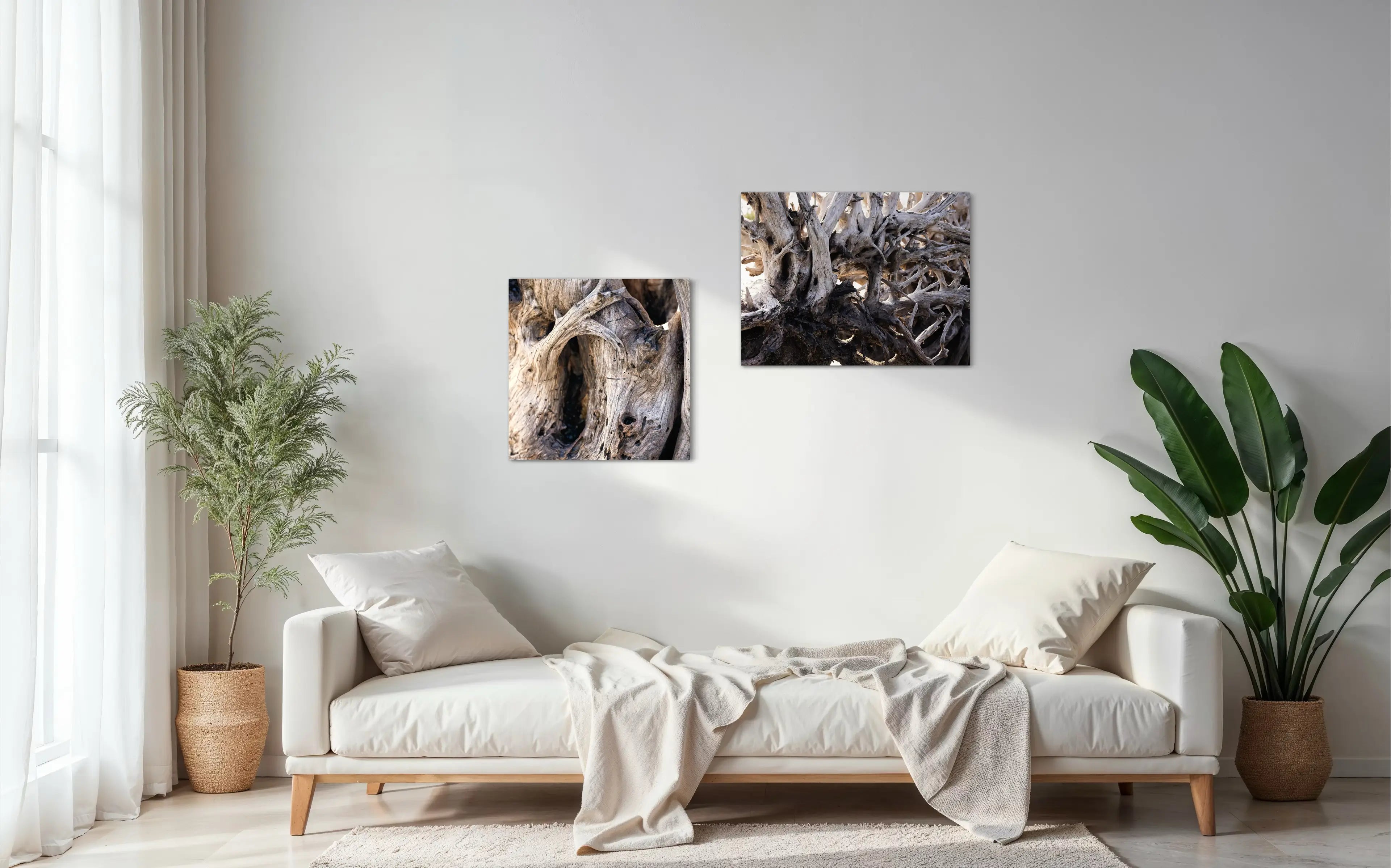 Weathered Grace Driftwood Art – coastal glass print paired with matching driftwood wall art for a serene, nature-textured coastal living room design
