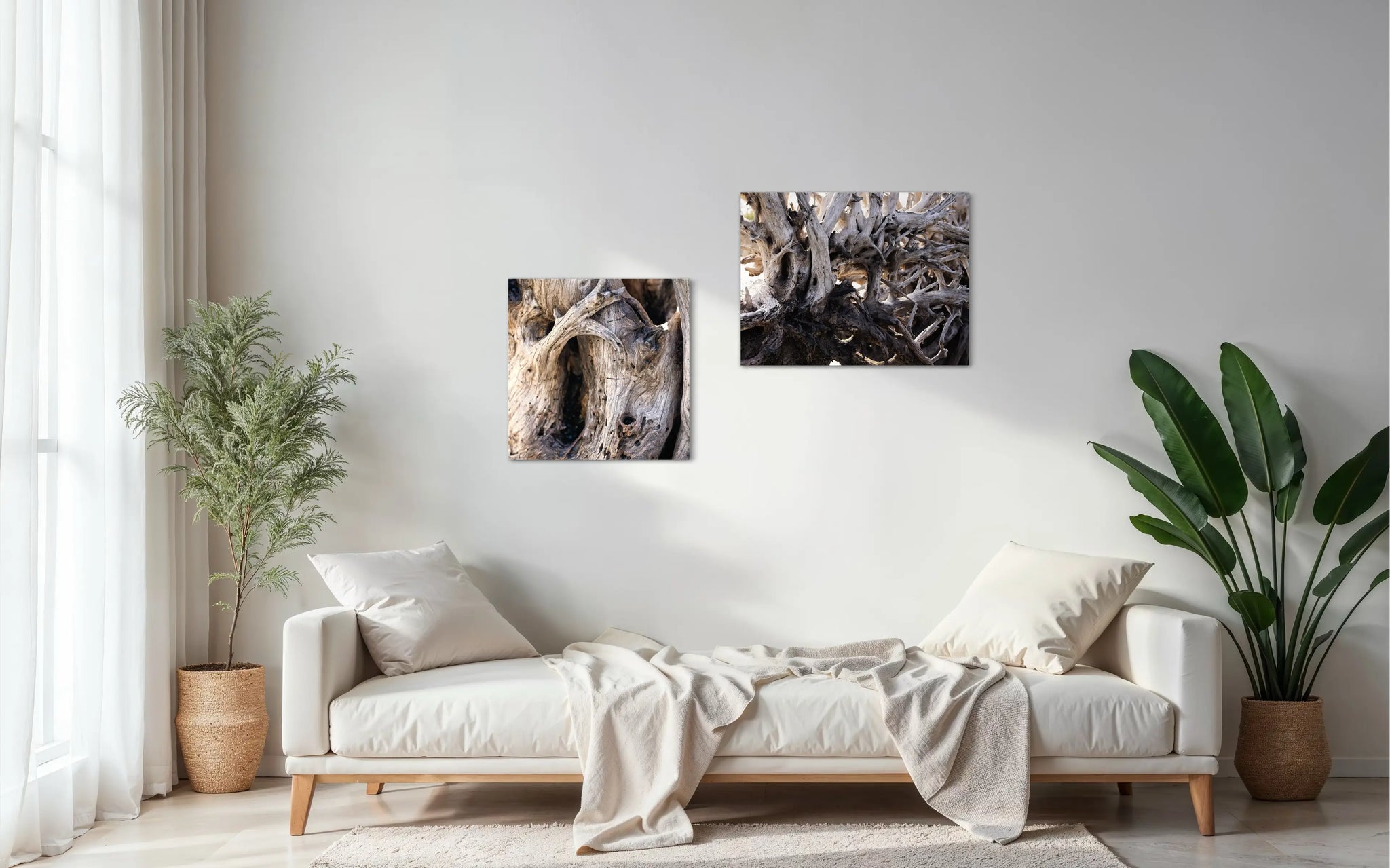 Weathered Grace Driftwood Art – coastal glass print paired with matching driftwood wall art for a serene, nature-textured coastal living room design