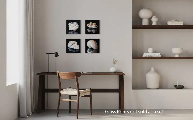 White Nautilus Reflective Glass Print - luxury coastal wall art, eco-friendly, modern decor =shown with 3 other prints 