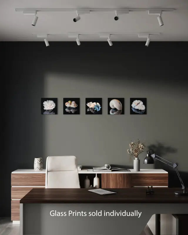 White Nautilus Reflective Glass Print - luxury coastal wall art, eco-friendly, modern decor - gallery Echoes prints